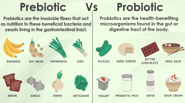 Prebiotic vs Probiotc Comparison Guide by Original Eating