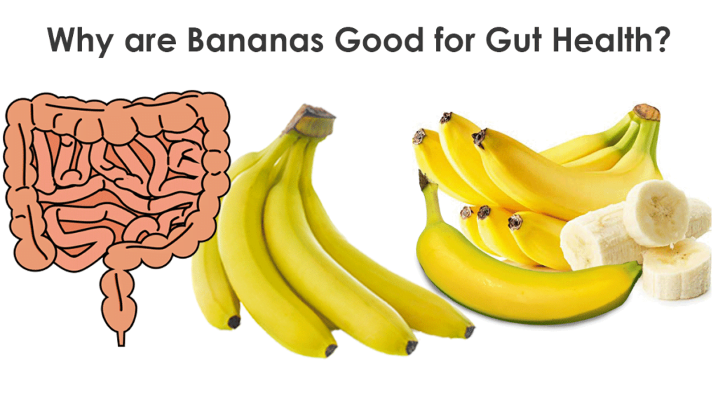 Why are Bananas Good for Gut Health by originaleating