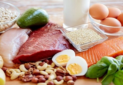 High Fat Diet