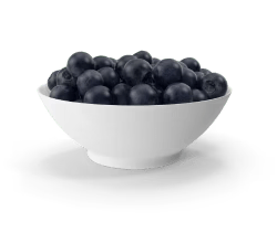 Elderberry Ingredient