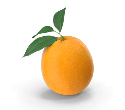 Vitamin-C Ingredient